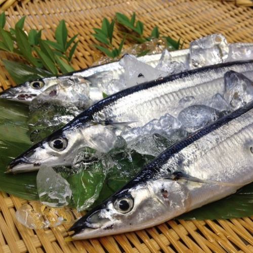 秋刀魚