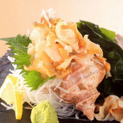 Sashimi of Hokkaido whelk