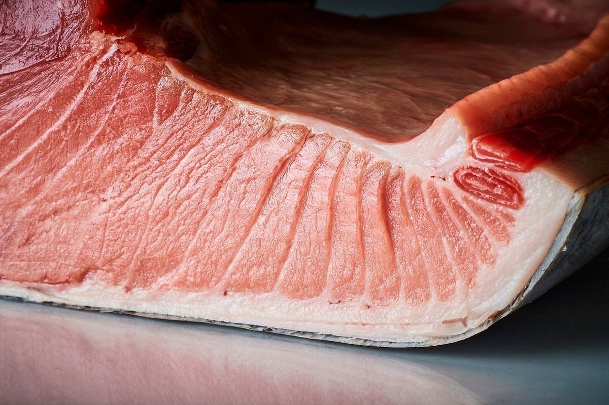 シャリの美味さは国境をも超える　今宵も最高の握りを皆様にご提供致します。