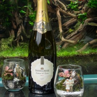 期間限定【歓送迎会コース】全4品＆お祝いメッセージプレート　120分飲み放題4,500円（税込）