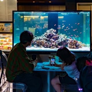 【アクアリウムカフェならではの楽しみ方】特別な空間でを味わえるテーブル席をご用意◎
