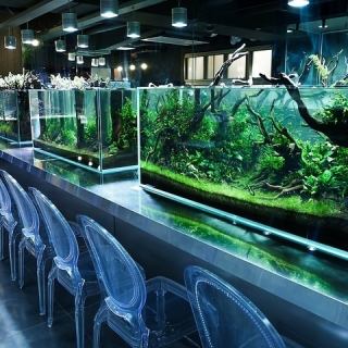 【おひとりさま大歓迎】お魚を見ながら、ゆったりとした癒し空間をお楽しみください◎