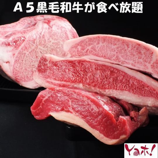 【値下げしました！富士見店のみ】A5ランク霜降り黒毛和牛食べ放題(ポークタン)※飲み放題別