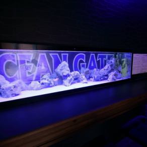 A counter where you can enjoy watching the colorful fish in the aquarium.It is as if you are enjoying your meal in the sea ♪