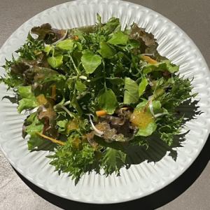 クレソンサラダ