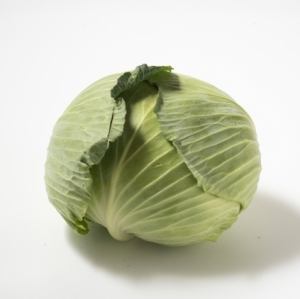 cabbage