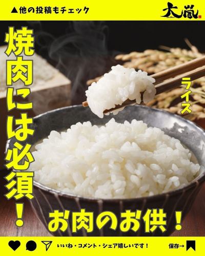 .
✨本日紹介のメニューのご紹介✨

焼肉ホルモン酒場 大嵐です🍋

本日のメニューはこちら⏬
【　ライス　】

焼肉といえばライスはかかせません🍚🥢
大嵐自慢のお肉にタレを絡めてご飯と一緒に頬張る！
お肉とライスの相性がたまりません🤭✨

皆様のご来店、心よりお待ちしております🤗

#ホルモン酒場大嵐 
#大嵐
#ホルモン
#レモンサワー 
#広島焼肉
#広島ディナー
#広島グルメ