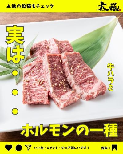 .
✨本日紹介のメニューのご紹介✨

焼肉ホルモン酒場 大嵐です🍋

本日のメニューはこちら⏬
【　ハラミ　】

焼肉の定番の1つハラミ😋
知らない方も多いですが…
実はホルモンの1種なんです🤭

皆様のご来店、心よりお待ちしております🤗

#ホルモン酒場大嵐 
#大嵐
#ホルモン
#レモンサワー 
#広島焼肉
#広島ディナー
#広島グルメ