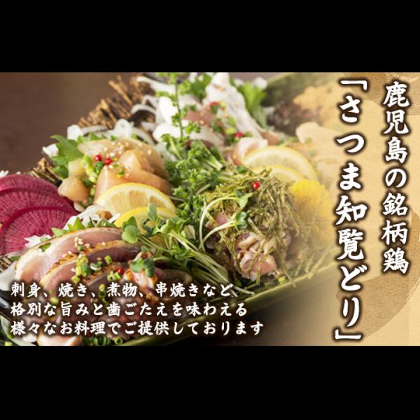 【사츠마 지람 도리】가고시마 현의 유명 닭을 사용한 요리를 즐길 수 있습니다