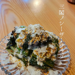 三閣ノシーザーさらだ