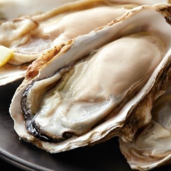 March 7th (Sat) and 8th (Sun) are oyster events! A full oyster course! Includes sake tasting and wine!