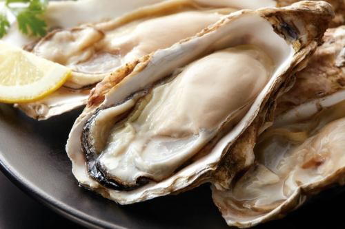★ Oyster and Sake Marriage ★ 8,800 yen (tax included) March 7th and 8th