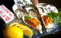 Oyster jewel platter (1 piece)