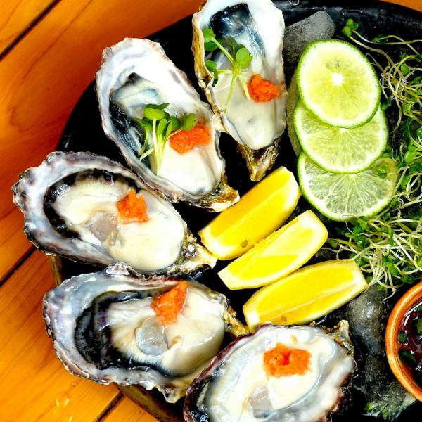 [Super fresh!] Juicy raw oysters (3 pieces)