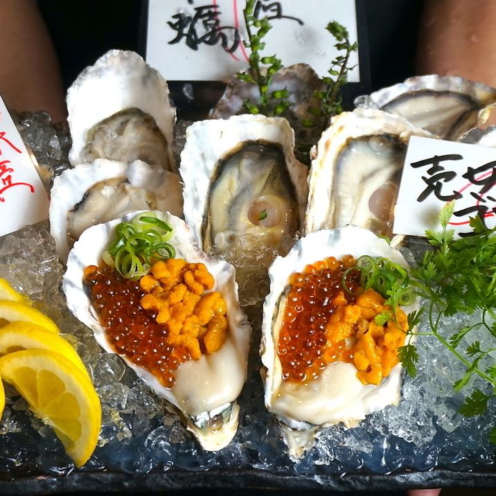 Recommended for dates and girls' nights! Enjoy oysters, seafood dishes, and wagyu beef at reasonable prices♪