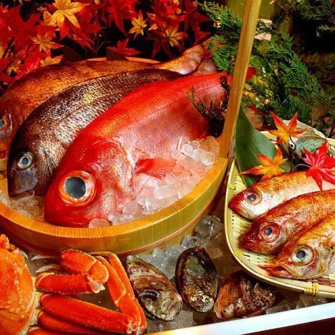 その二、"毎日直送の朝〆鮮魚"