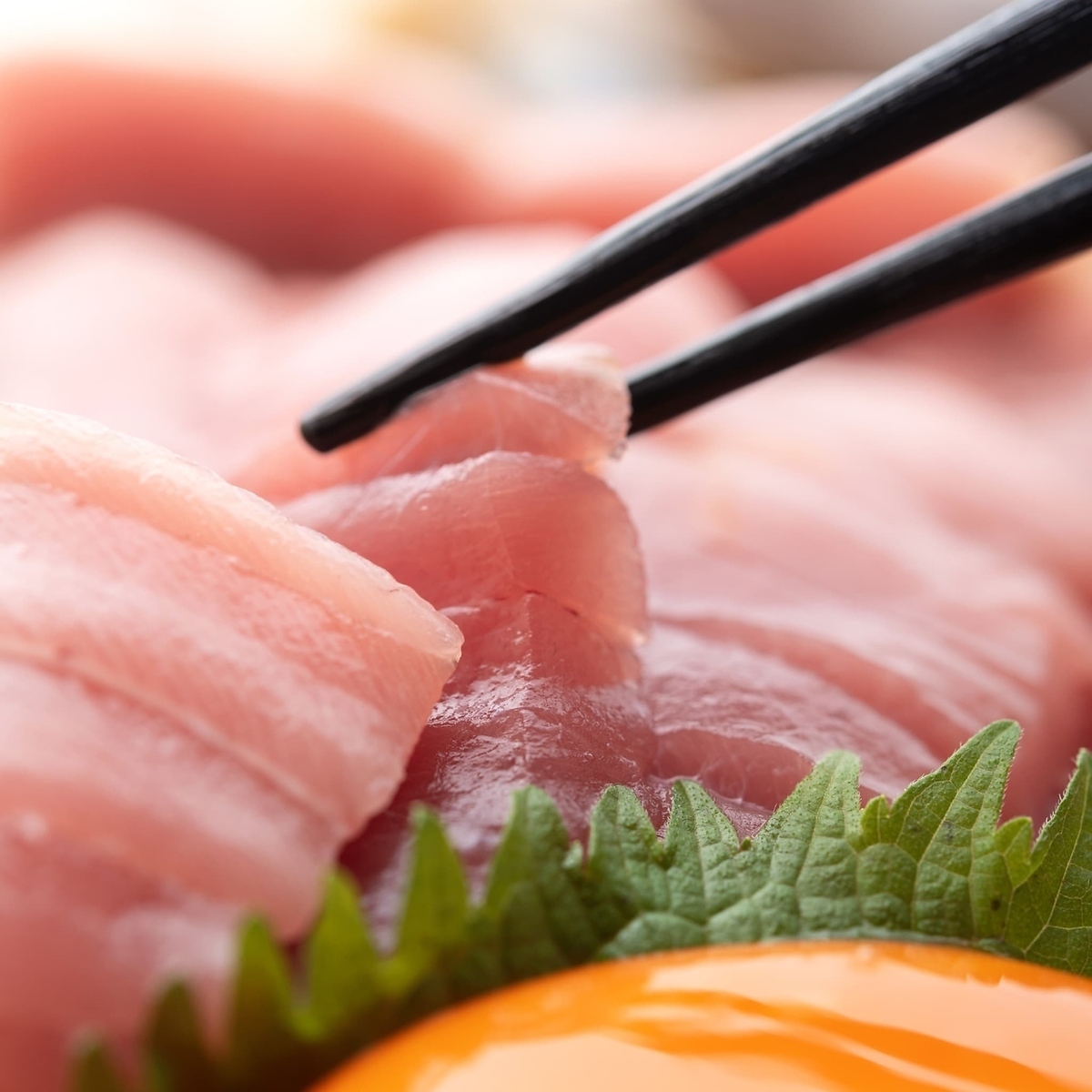 マグロの卸問屋が厳選した「対馬産の本マグロ」をご提供します！