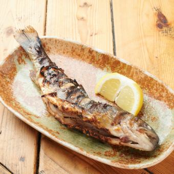 Grilled rock trout with salt