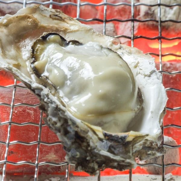 Directly from the farm! Freshly caught raw oysters 399 yen (tax included)