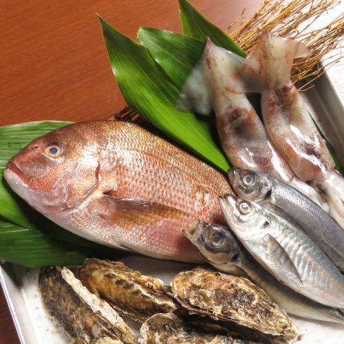 厳選した鮮魚を使用