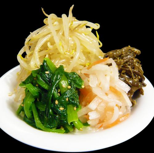 Bean sprouts namul / green vegetable namul / fern namul / sen namul