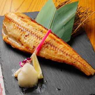 縞ホッケ