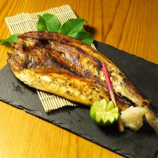 真ホッケ