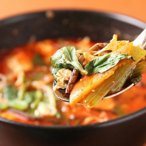 Calvi soup / Yukgaejang soup