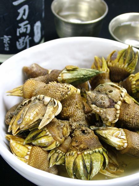 愛媛的美味貝類料理“龜之手”！