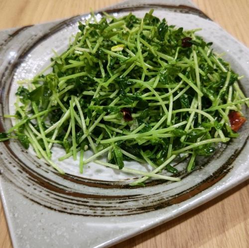 豆苗炒め/干し豆腐とピーマン炒め/マーボー春雨/小松菜炒め