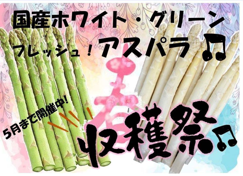 ５月まで開催！　新鮮な、極太の国産アスパラを使った料理が期間限定で登場！