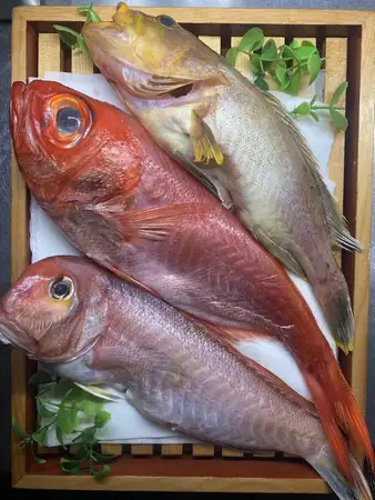 本日の旬のお魚の煮付け