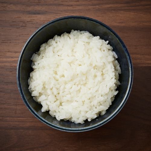Rice (regular)