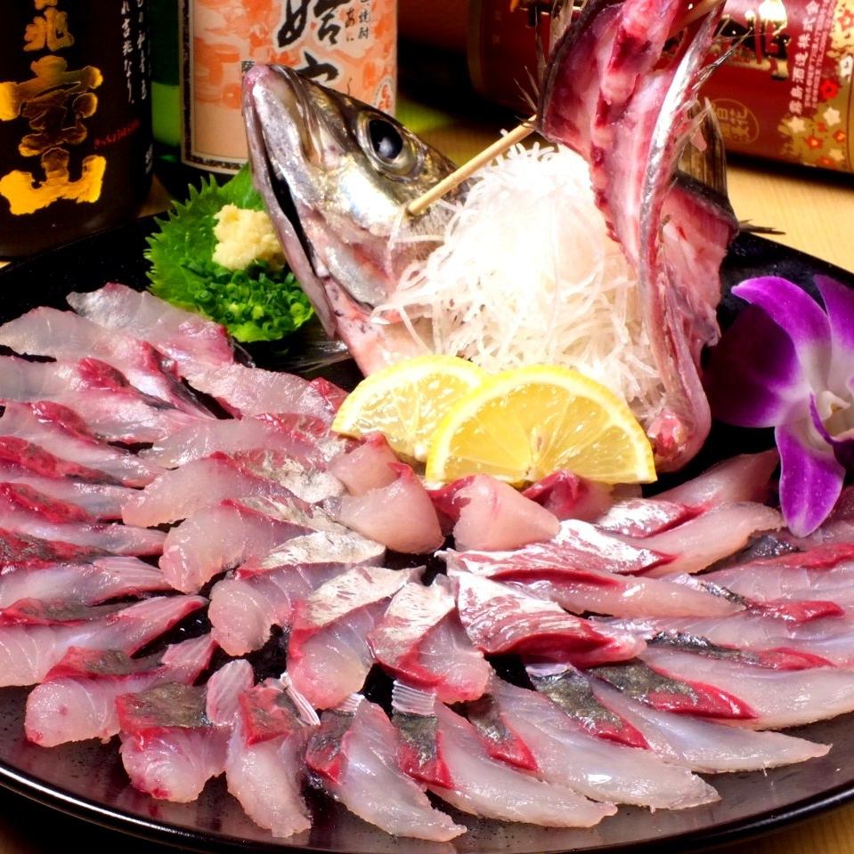 豊後水道直送のお魚をいけすからさばいてお愉しみ頂いております