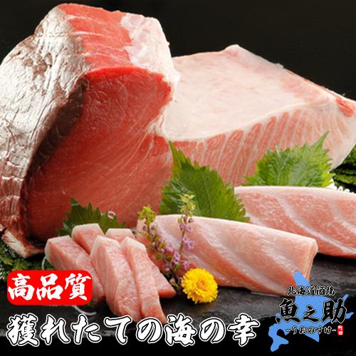 優質海鮮！