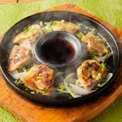 Hot teppanyaki dumplings