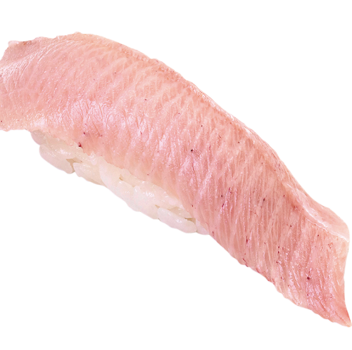 Yellowtail
