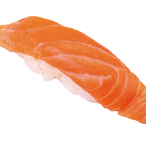 Salmon
