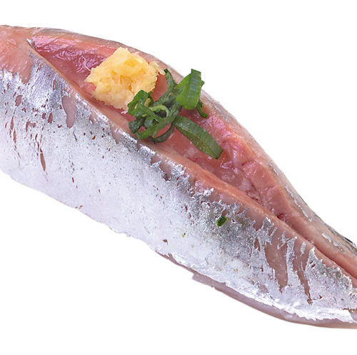 Horse mackerel