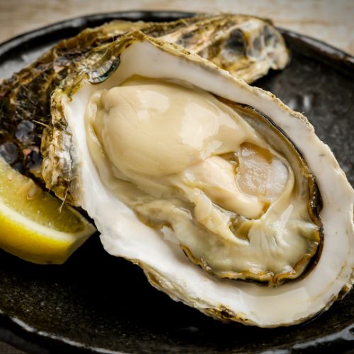 Raw oysters