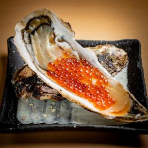 Raw oysters with salmon roe