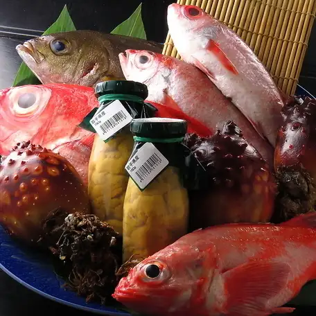 毎日新鮮な魚が！