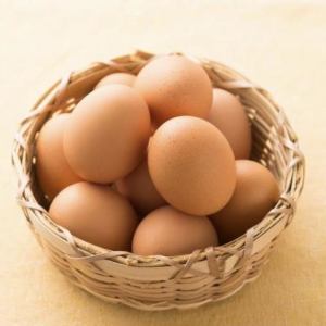 Eggs from Sakamoto Keita (additional)