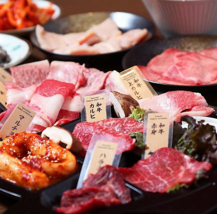 [Takano's standard course♪] Great value on carefully selected Japanese beef♪ 5,000 yen including 14 dishes and 2 hours of all-you-can-drink