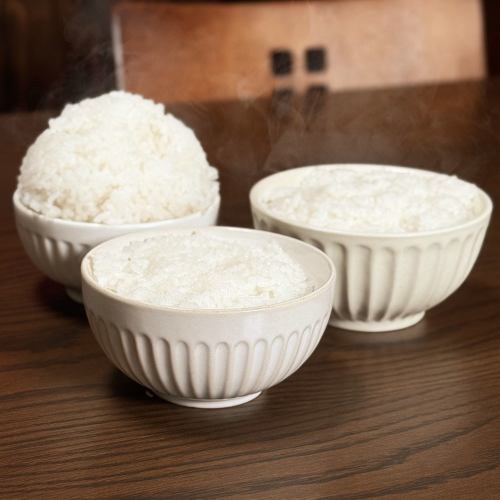Rice (large)