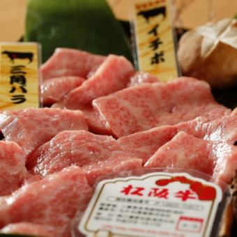 Assortment of two types of Matsusaka beef