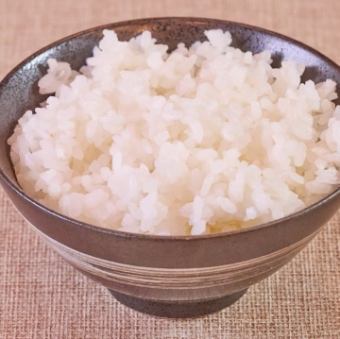 白米飯