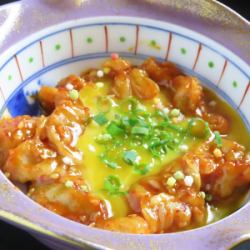 蓬鬆的韃靼風格
