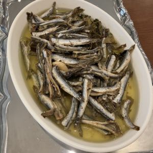 油沙丁鱼