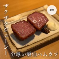 Thick Unzen ham cutlet